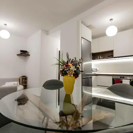 The Hidden Dream- Smarthouse Apartment Brasov