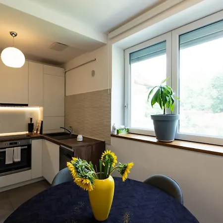 The Hidden Dream- Smarthouse Apartment Brasov